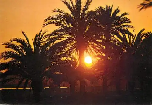 Spain Islas Canarias Gran Canaria sunset view