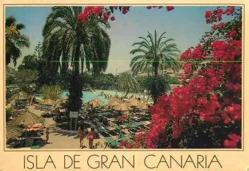 Spain Islas Canarias Gran Canaria Puerto Rico palm trees