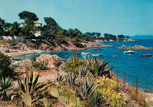 France Saint-Aygulf beach