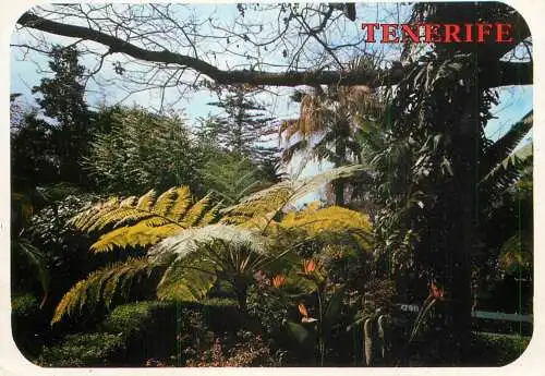 Spain Tenerife botanical garden