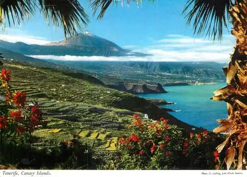 Spain Tenerife