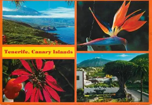 Spain Tenerife