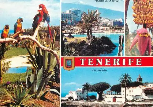Spain Tenerife
