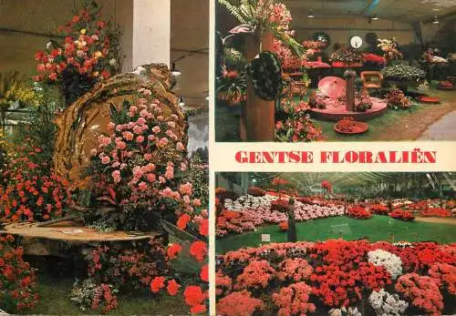 Belgium Gent flower scene