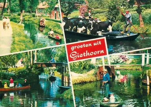 Netherlands Giethoorn boat cows