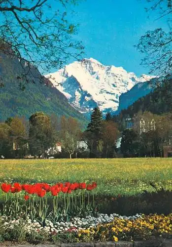 Switzerland the Jungfrau