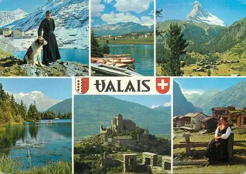 Switzerland Valais Saint Bernard