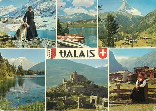 Switzerland Valais Saint Bernard