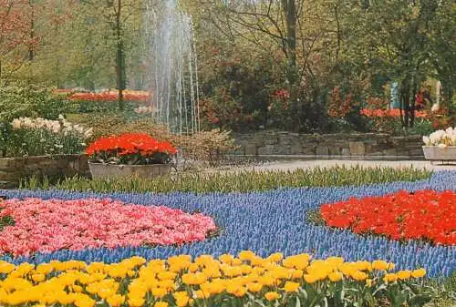 Netherlands Keukenhof Lisse tulip scene