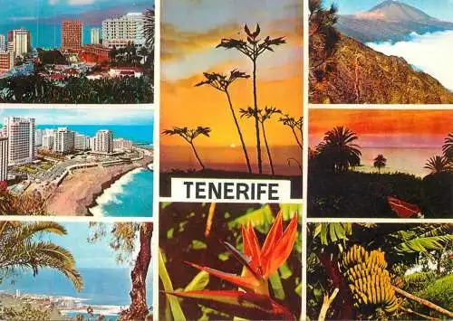 Spain Tenerife