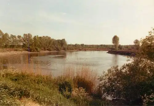 Belgium Hamme Schelden Moerzeke-kastel