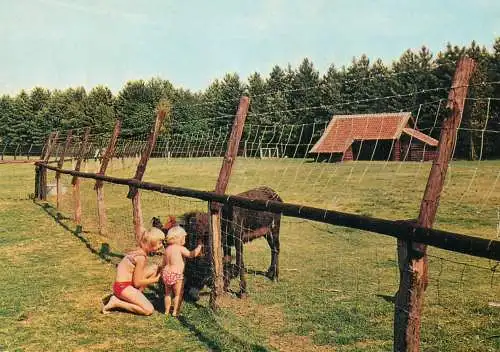 Belgium domein de Vijvers