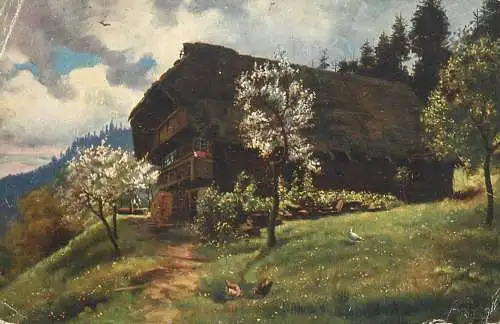 AK Germany Schwarzwald chalet