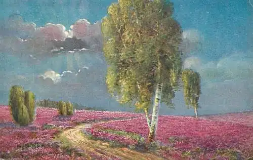 AK Germany painting pink flower field