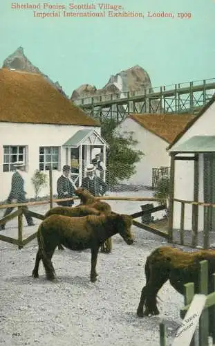 United Kingdom England London Imperial Exhibition in Scottish village Shetland Ponies 1909
