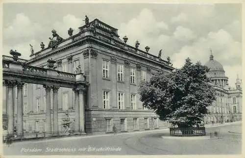Germany Potsdam Stadtschloss mit Bittschriftlinde