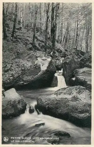 Belgium Petite Suisse Luxembourgeoise Le Hallerbach