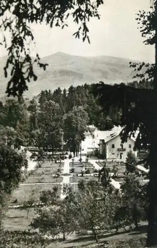 Romania Sangeorz Bai parc