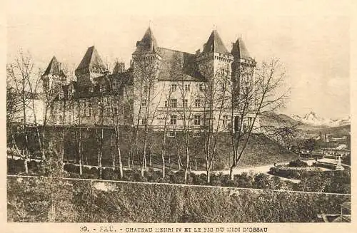 France Pau chateau Henri IV