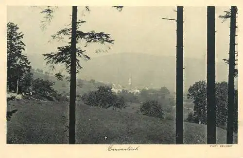 France Vl'Alsace les Vosges