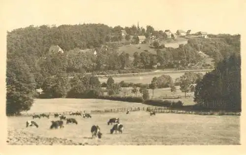 cpa Belgique Vallon forest