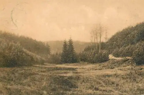 cpa Belgique Vallon forest ou du Tambour