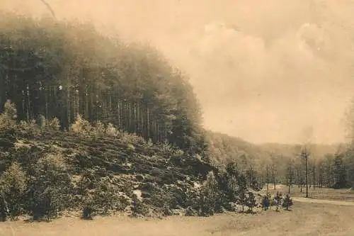 cpa Belgique Vallon forest ou fonds Josephine