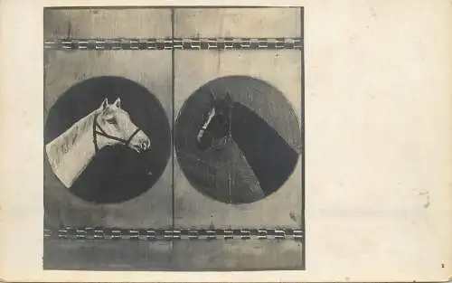 Drawn horses vintage postcard chevals