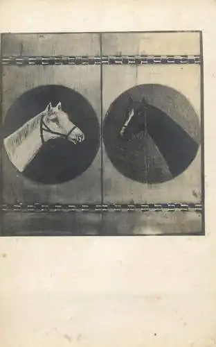 Drawn horses vintage postcard