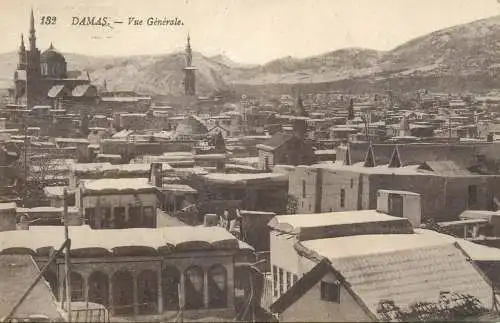 Damas vue generale