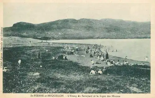 cpa St-Pierre-et-Miquelon - L'Etang du Savoyard - La Ligne des Mornes