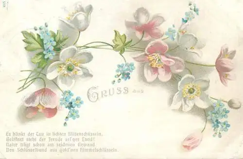 Gruss aus ... Blumen blossom flowers fantasy 1900