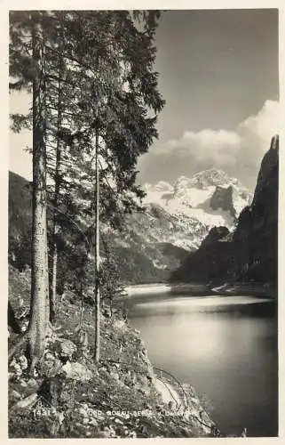 Gosausee Vindobrom Lainer & Hrdliczka advertising