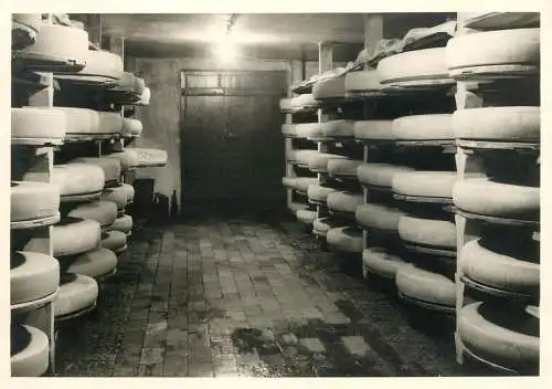 Cheese cellar photo postcard