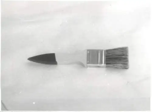 Photography Objects photo 9 x 12 cm flat brush hairbrush