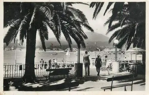 cpsm France Sainte Maxime sur mer