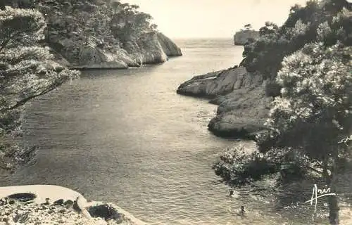 cpsm France Cassis les Calanques de Port Pin 1963