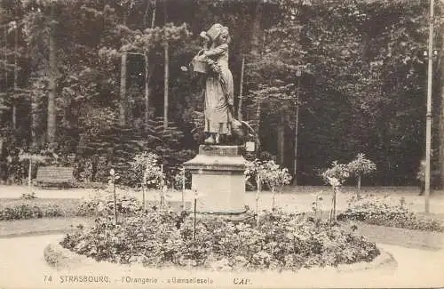 cpa France Strasbourg l'orangerie