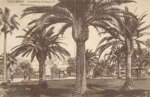 cpa France Nice jardin Albert 1er palmiers