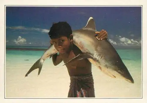 Maldives white tipped shark carried by a young child