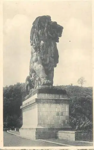 Belgium Gileppe (Dam) lion