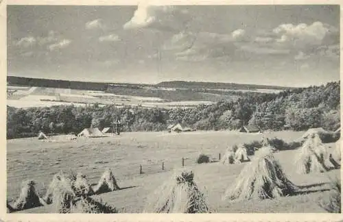 Belgium meadows hay stacks