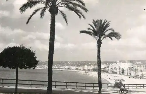France Nice panorama