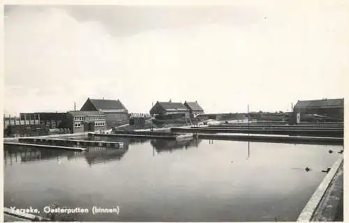 Belgium Anvers Yerseke Oesterputten Binnen