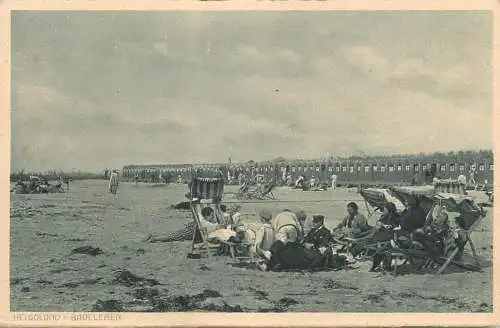 AK Helgoland Badeleben auf der Dune