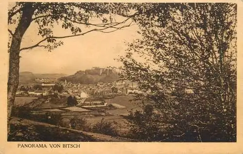 Bitche Bitsch Panorama 1919