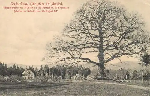Markirch Grosse Eiche Klein Hoehe Massengraeber Sainte-Marie-aux-Mines 1915