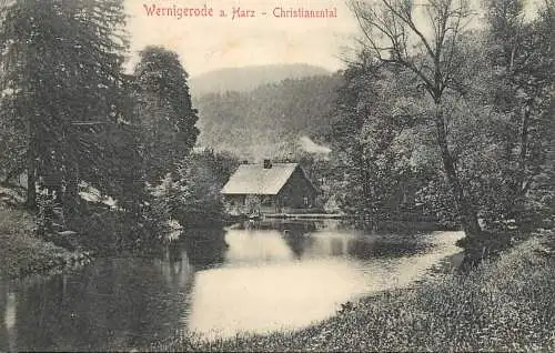 AK Wernigerode - Christianental 1907