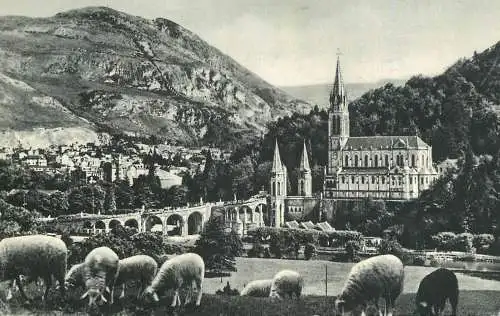 France Lourdes basilique