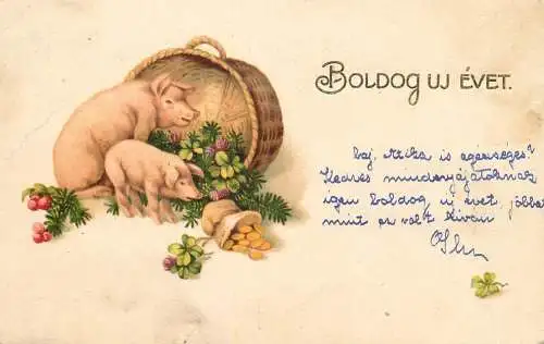 Holiday postcard New Year piglets shamrock